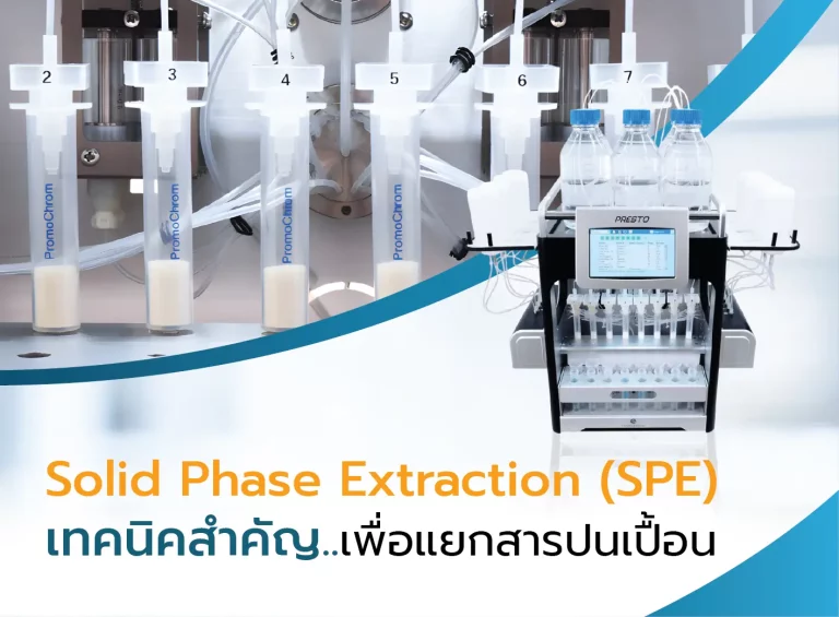 SPE คืออะไร
